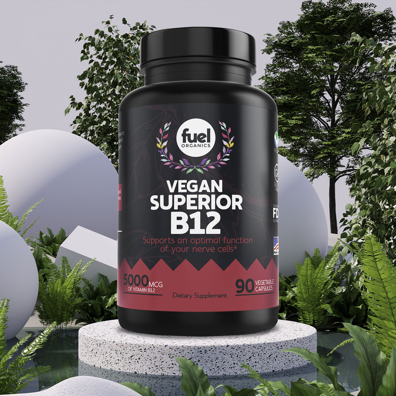 Vitamin B12 Vegan